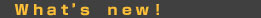 �X�V